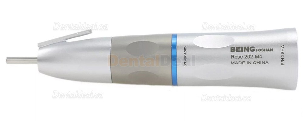 BEING 202SHBW Dental Straight Surgical Handpiece with LED Light